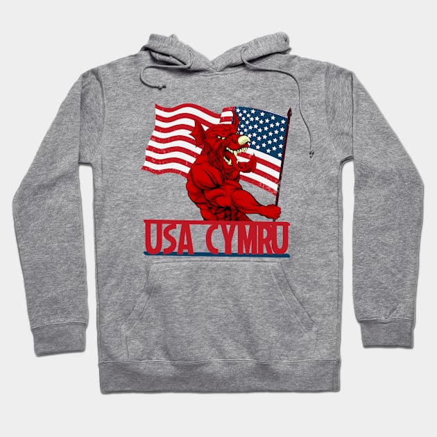 Born in the USA Welsh Roots Hoodie by Teessential